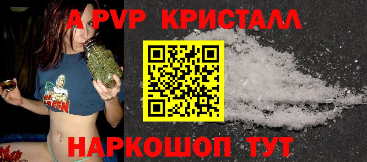 А ПВП СК КРИС  Вход с VPN  Альфа ПВП СК  Волгоград 