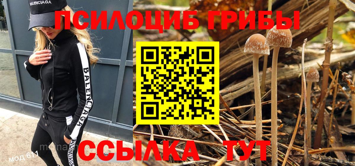 Галлюциногенные грибы MAGIC MUSHROOMS Волгоград